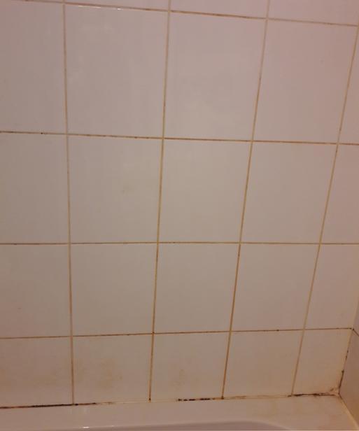 Fila Grout Cleaner Topps Tiles