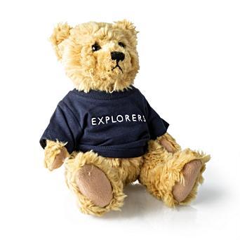 teddy bear with shirt