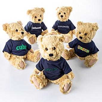 cub scout teddy bear