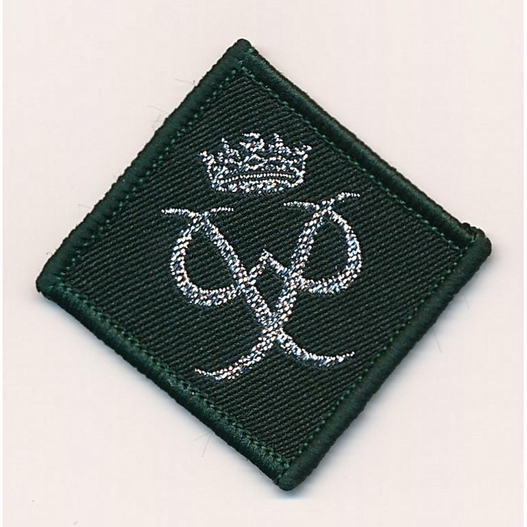 D. of E. Award Silver Leaders