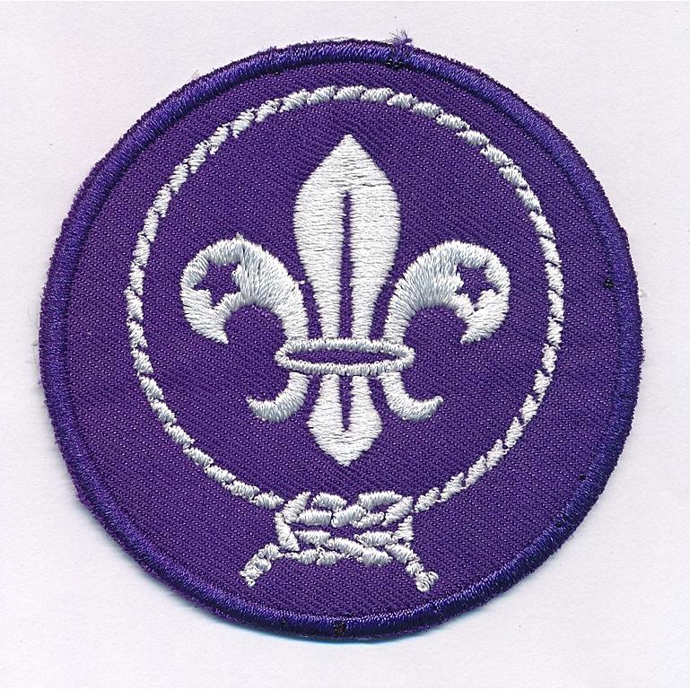 World Scouts Emblem Fun Badge 7cms Insignia