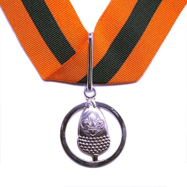 Bar to the Silver Acorn Medal