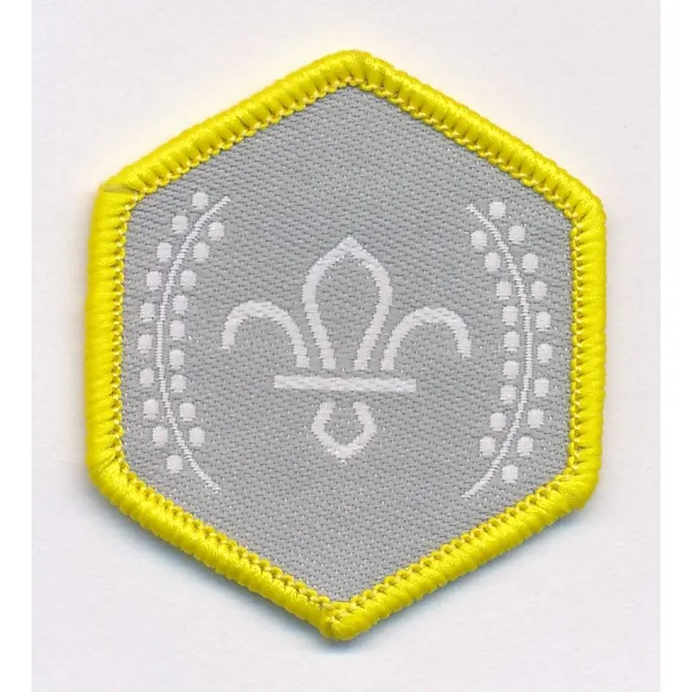 Cub Scout Chief Scout's Silver Award Badge Leaders