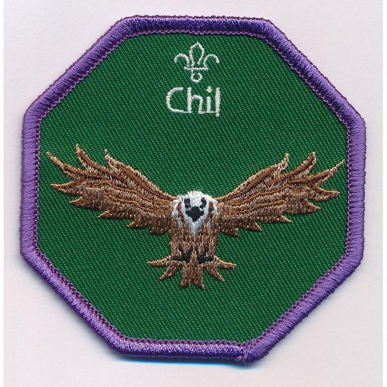 Cub Scouts Chil Fun Badge 7 x 7cm Accessories