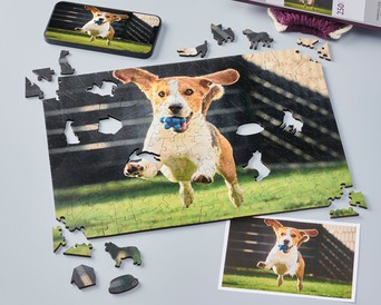 Furry Friends - 1,000 Piece Dog & Cat Jigsaw Puzzle